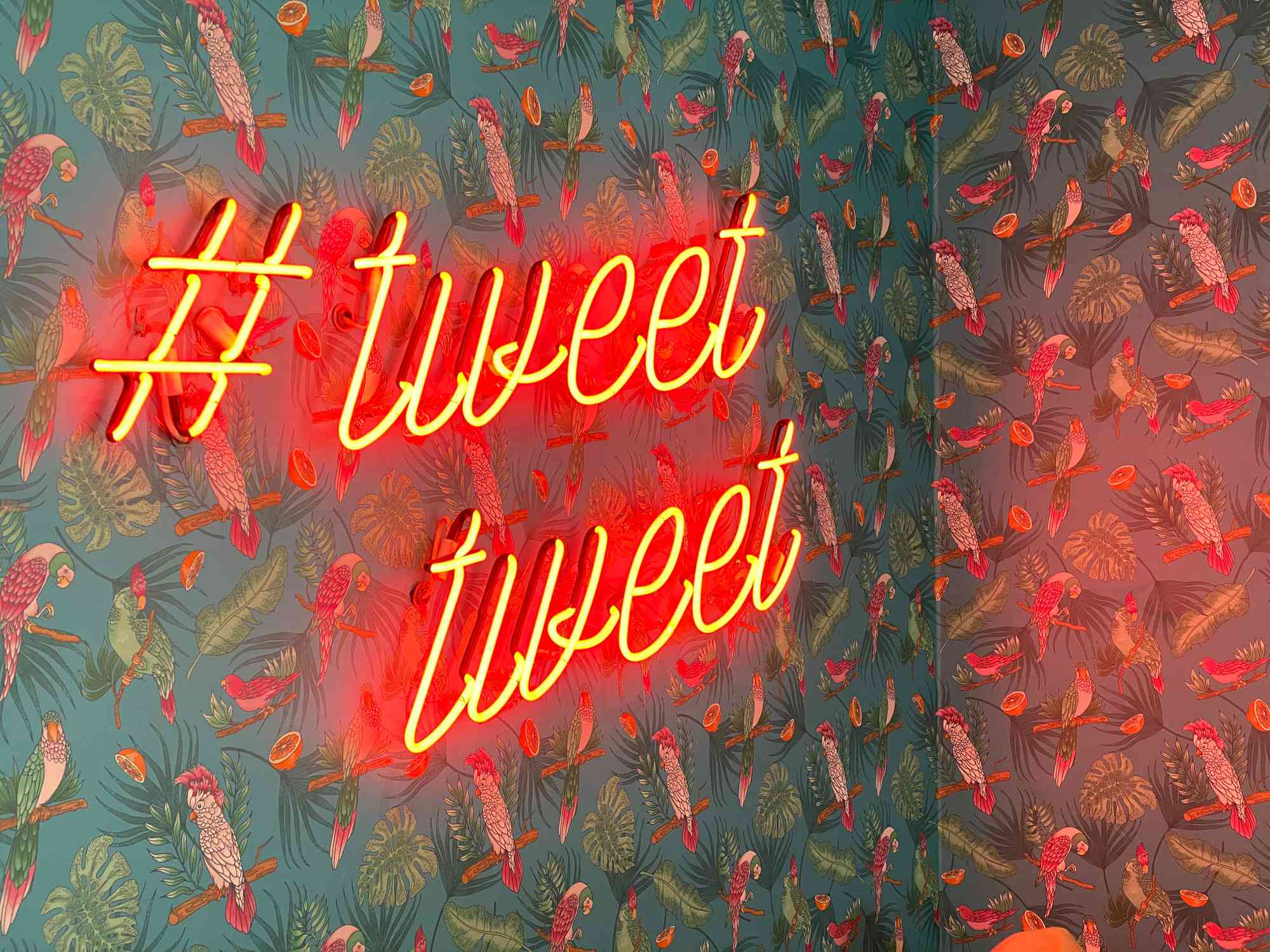 Een neonbord met de tekst #tweettweet tegen een muur bedekt met behang met papegaai- en jungle-thema.
