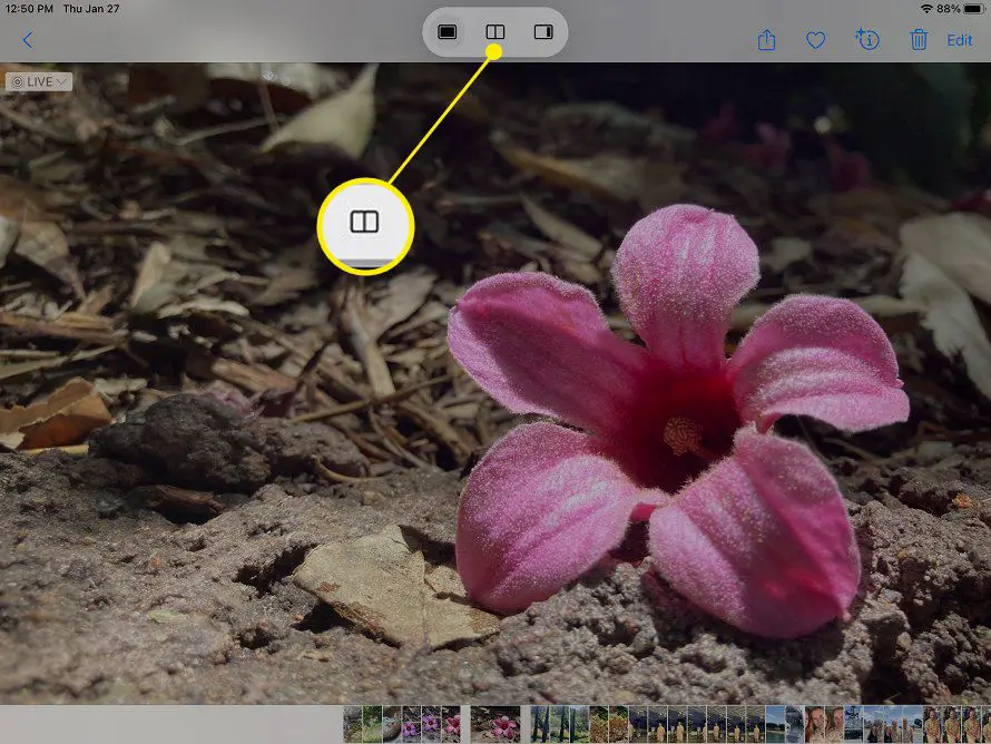 iPad Notes-app met Split View gemarkeerd in Multitasking-menu