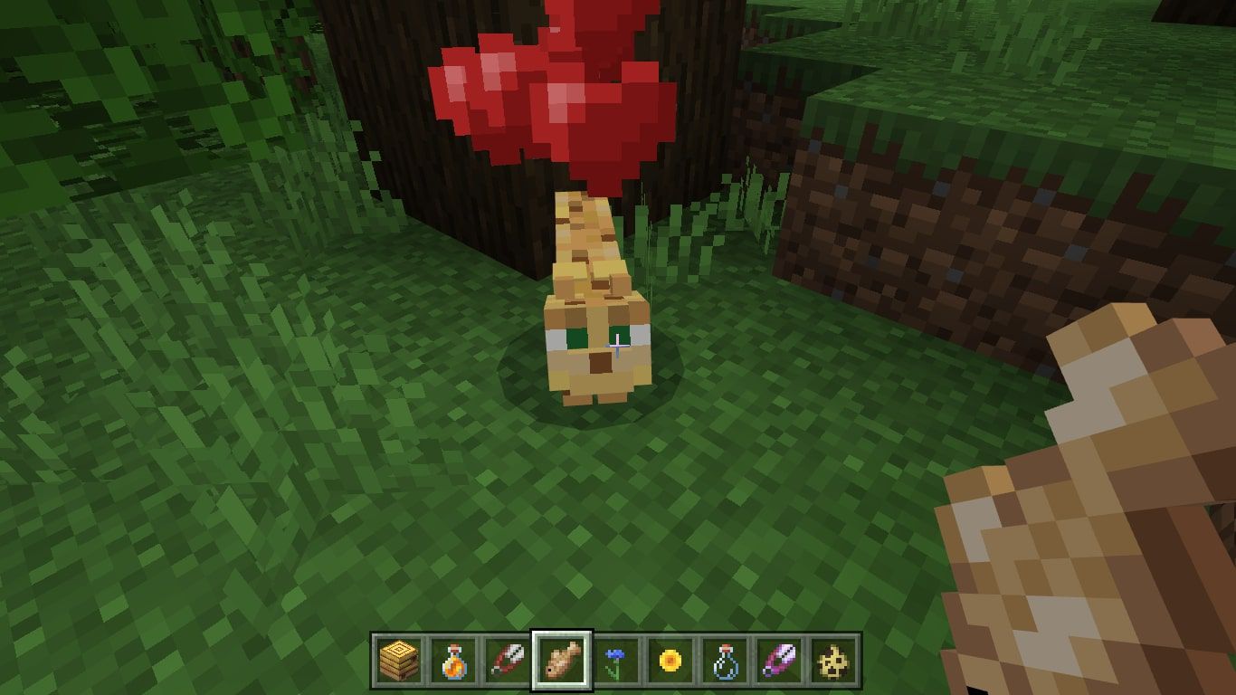 Een getemde ocelot met hartjes boven zijn hoofd in Minecraft