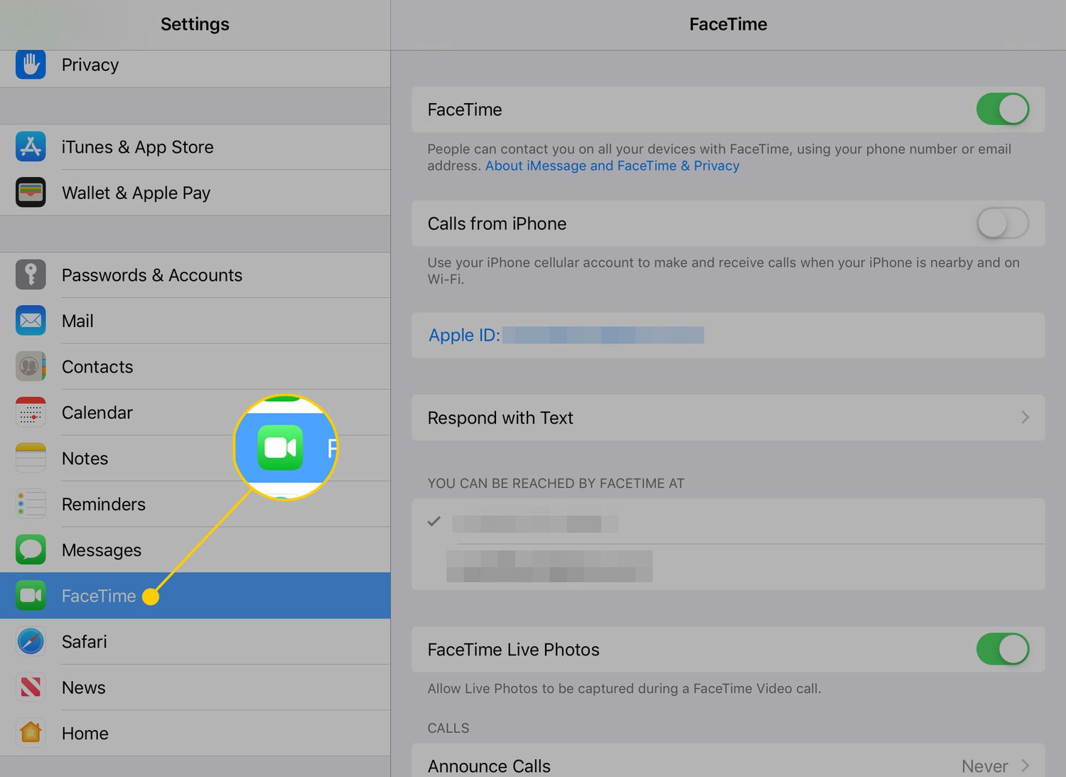Instellingen-app op een iPad met de FaceTime-kop gemarkeerd